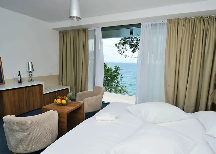 ホテル Boutique Mali Raj オパティヤ